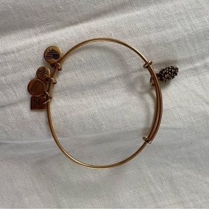 Alex and Ani gold pinecone bracelet